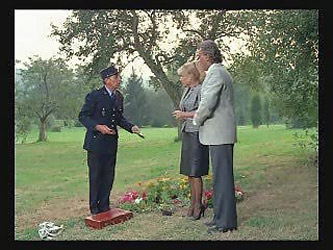 requested the last 3-4 scenew from diamond baby gr-2